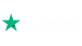 532-5329305_transparent-new-trustpilot-logo-hd-png-download-removebg-preview 532-5329305_transparent-new-trustpilot-logo-hd-png-download-removebg-preview